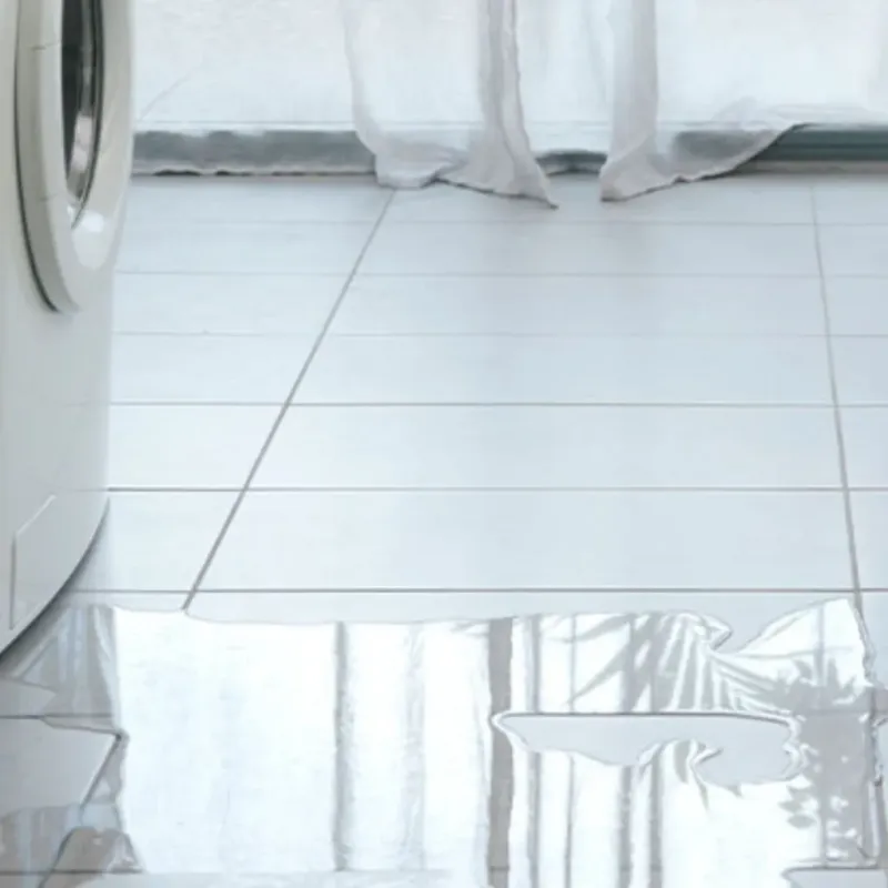 Appliance Leak Cleanup in Toledo, IA