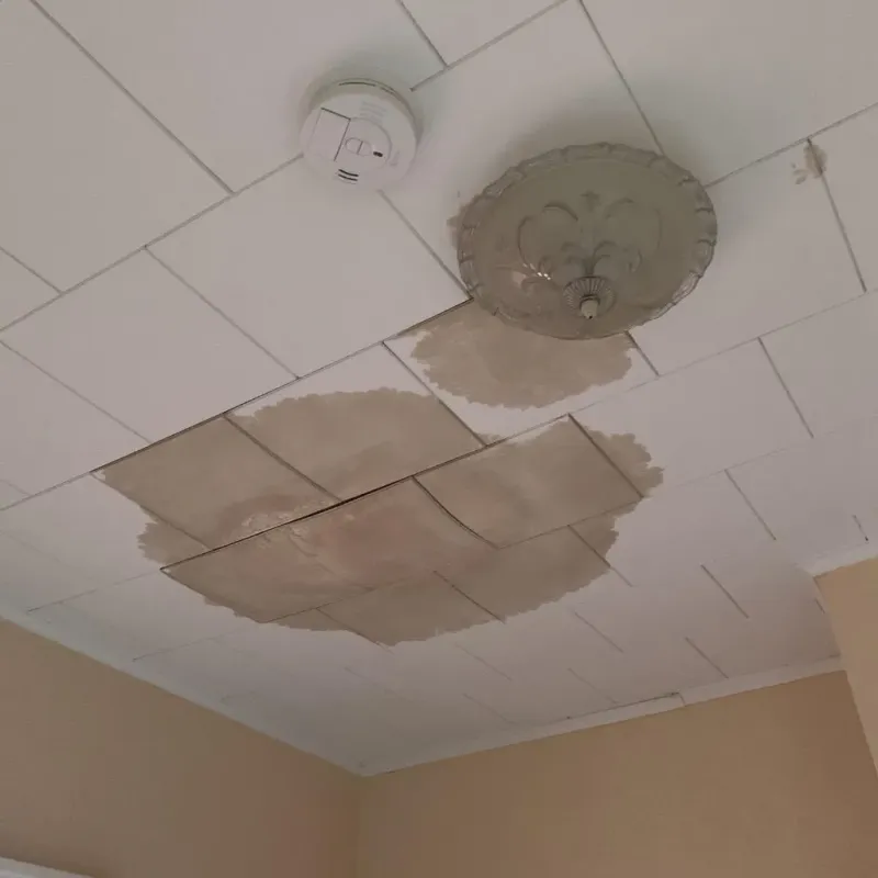 Ceiling Water Damage Repair in Toledo, IA