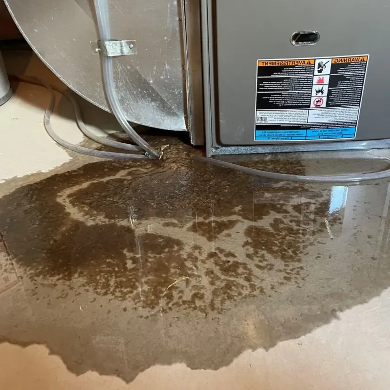 Pipe Burst and Leak Restoration in Toledo, IA