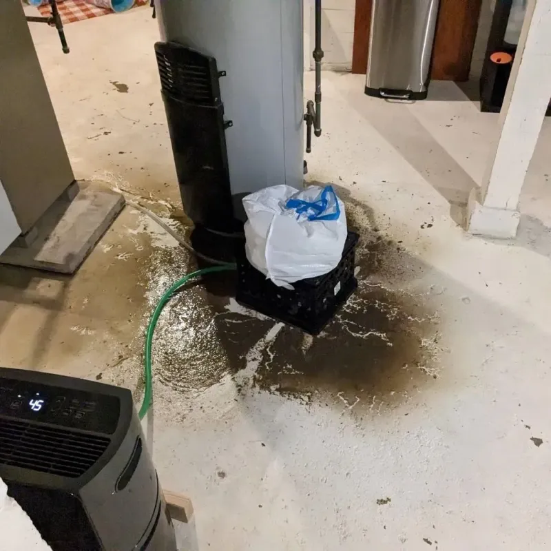 Sewage Backup Cleanup Service in Toledo, IA